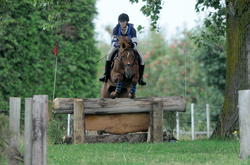 Puketapu Pony Club ODE 2014