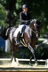 Dressage HB Championships 2020