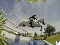 Equestrian Images