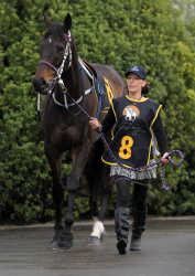 Windsor Park Plate Raceday 2013