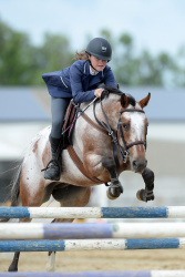 Pony 1.05m