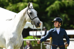 World Cup Trot Up