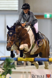 Horse 1.40m Mini Prix