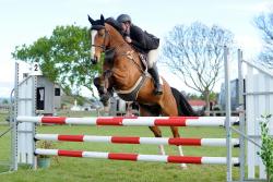 Speciality Horse and Pony Accumulator 1.10m