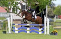 Futurity Horse 5yr 6yr 7yr Final