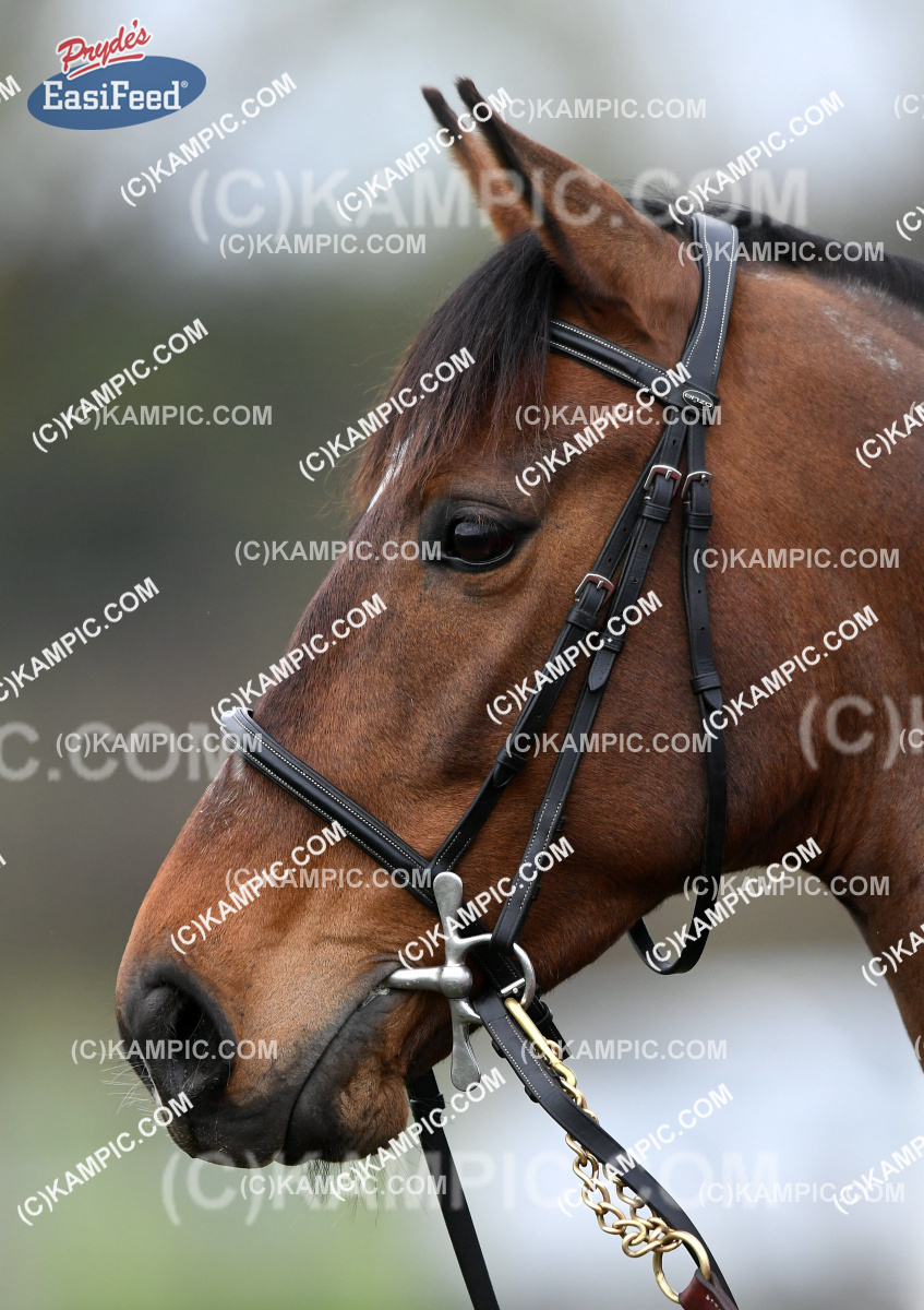 KM_160911_0020