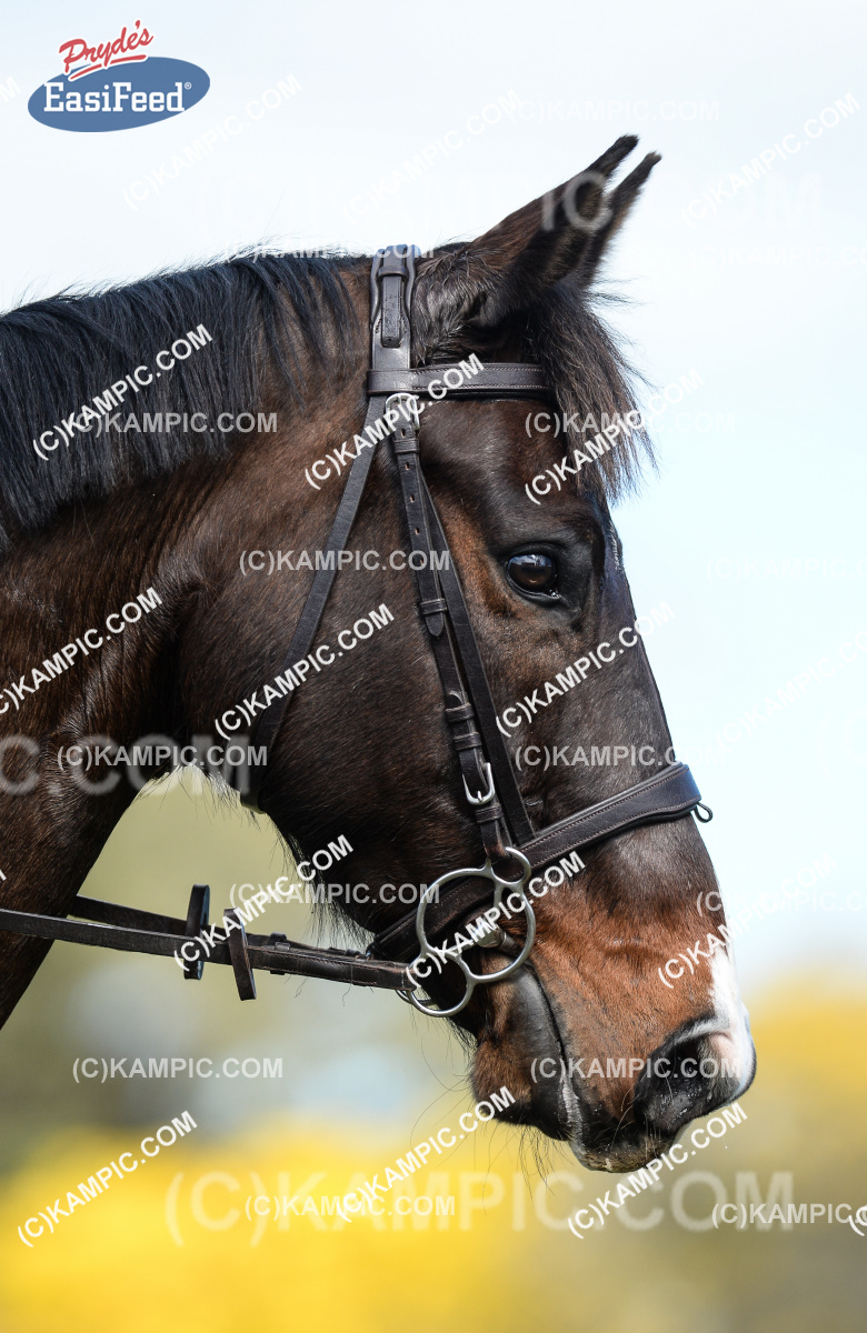 SL_160911_0390