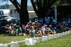 Horse Grand Prix