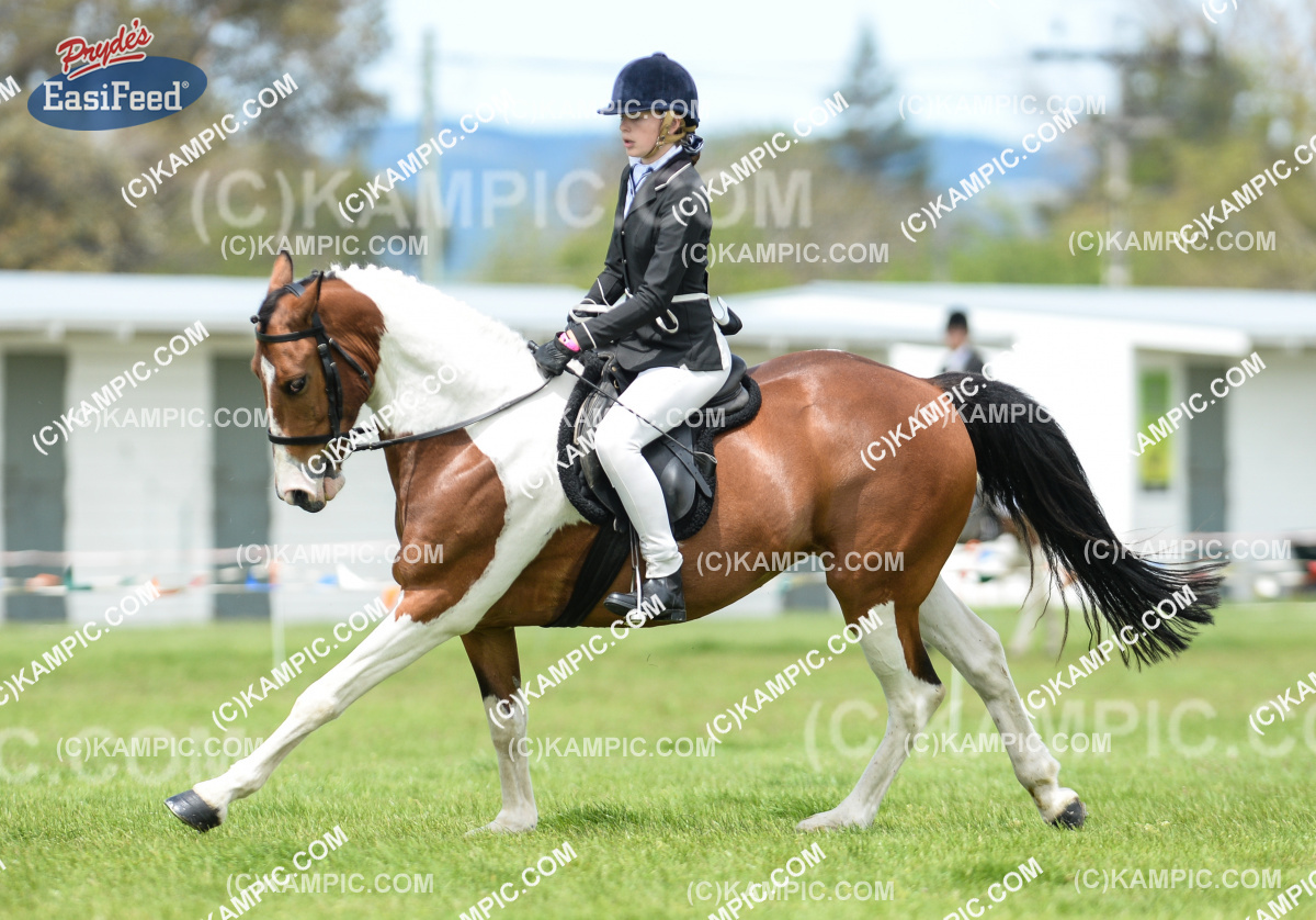 SL_161019_0236