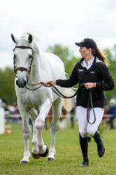 World Cup Trot Up