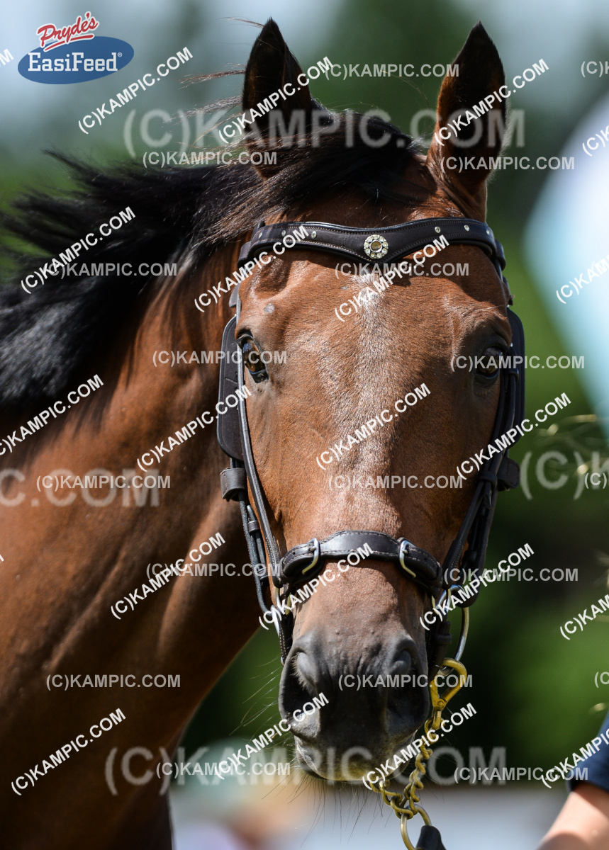 SL_170108_0541