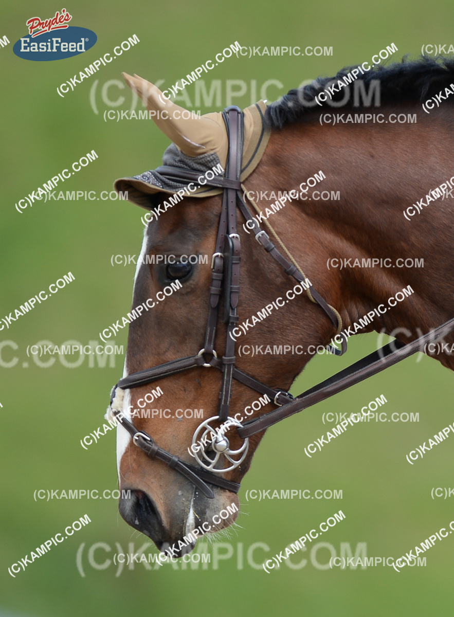 SL_171015_0354