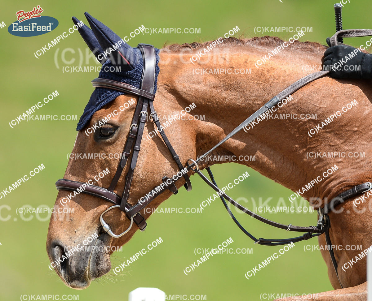 SL_171015_0365