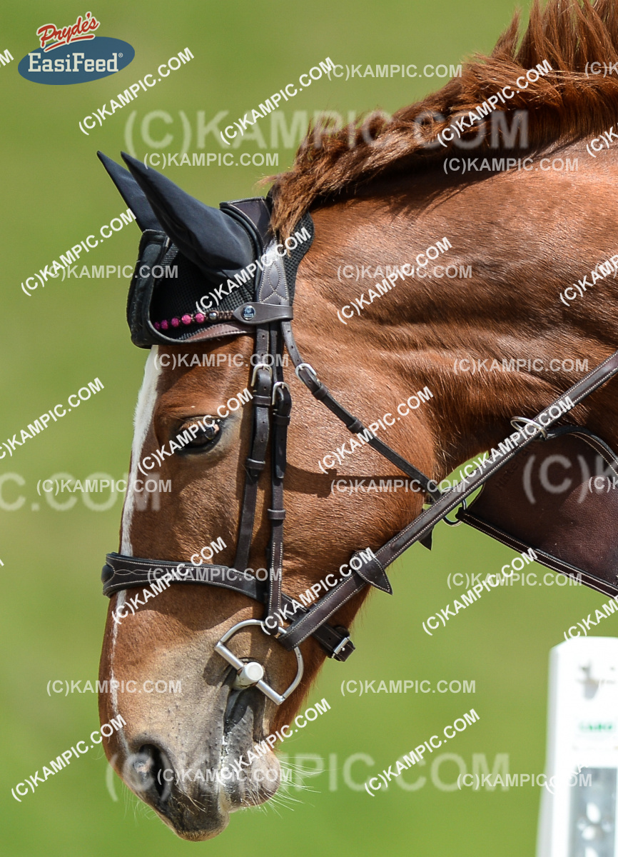 SL_171015_0375