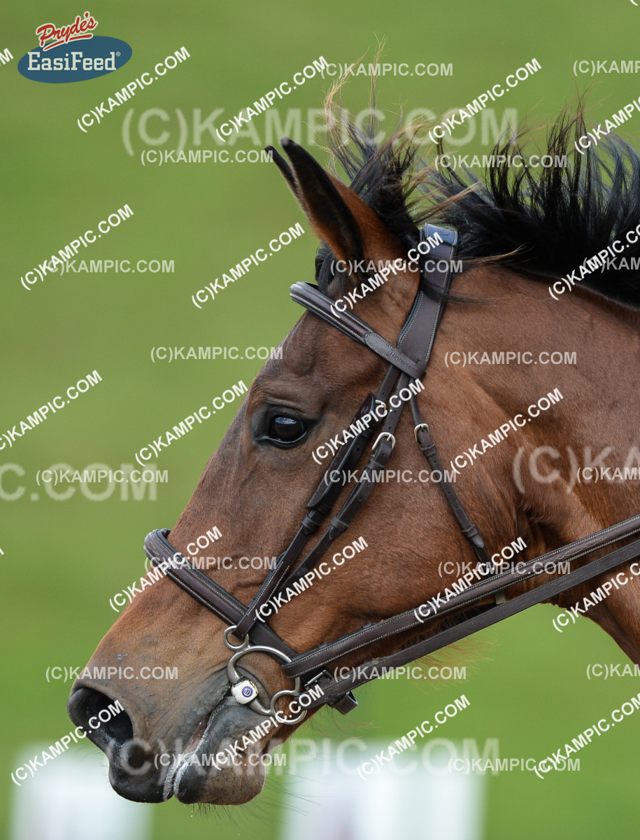 SL_171015_0855