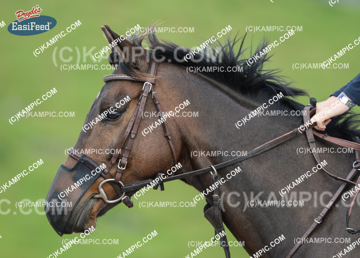 SL_171015_0889