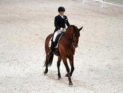 GP Dressage