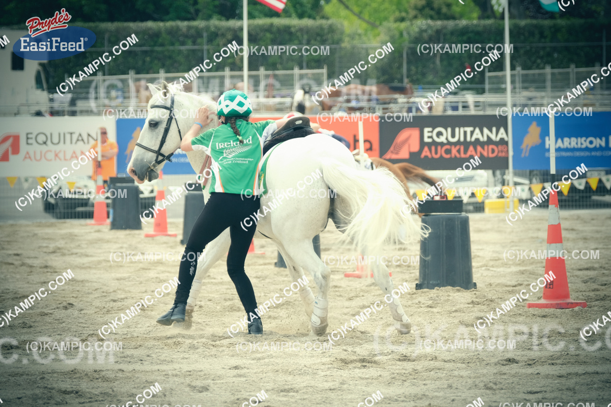 MD_171125_1326e