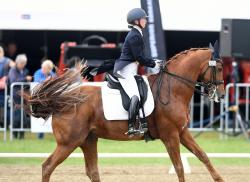 FEI Grand Prix Dressage