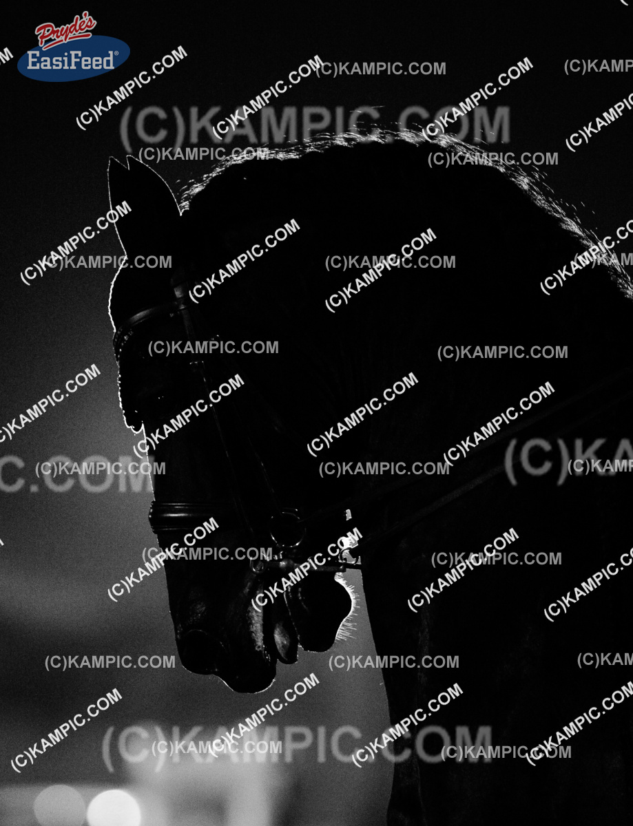 SL_170310_3675
