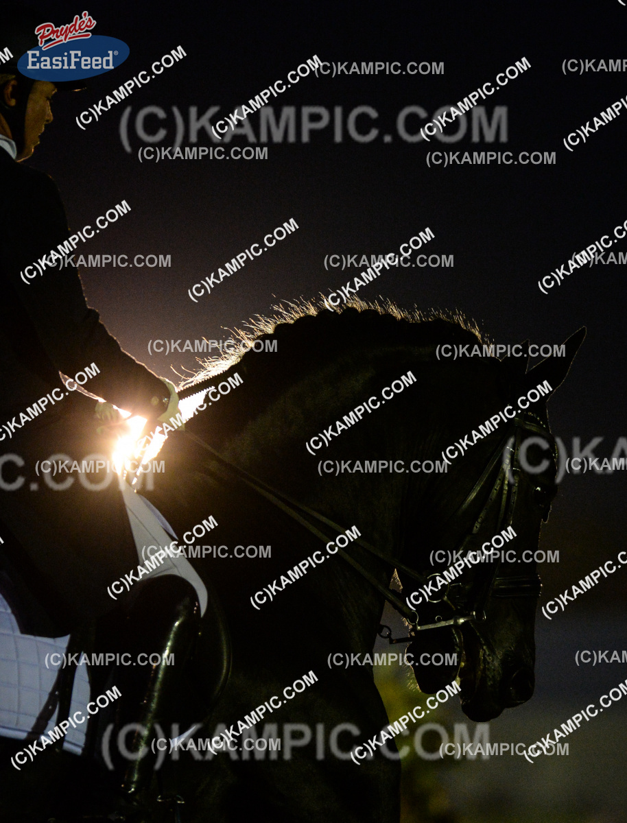 SL_170310_3700
