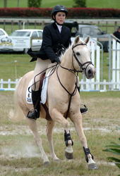 Pony Grand Prix