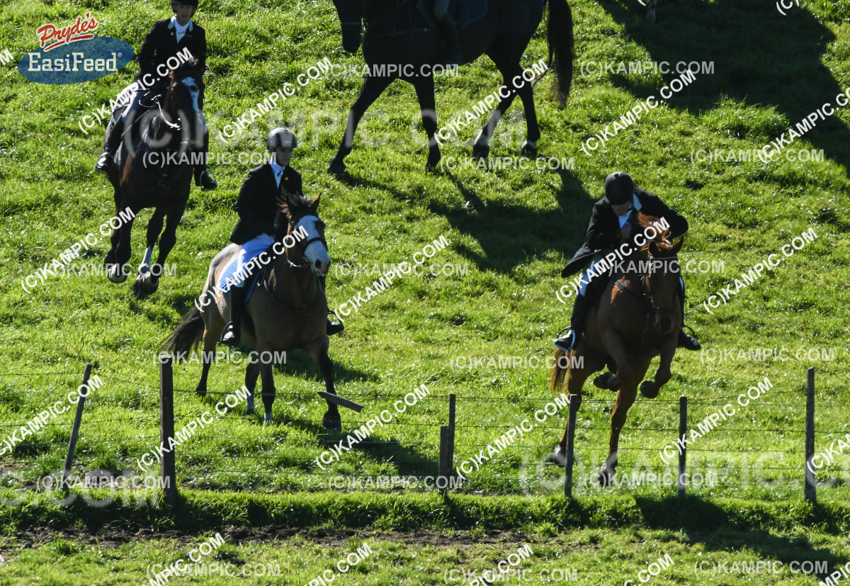 SL_170507_0381