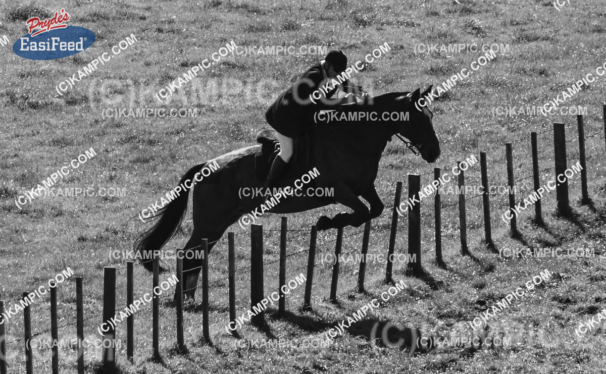 SL_170507_0394