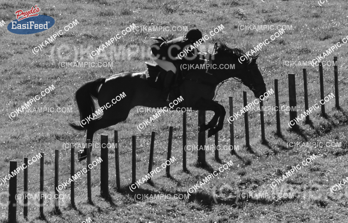 SL_170507_0408