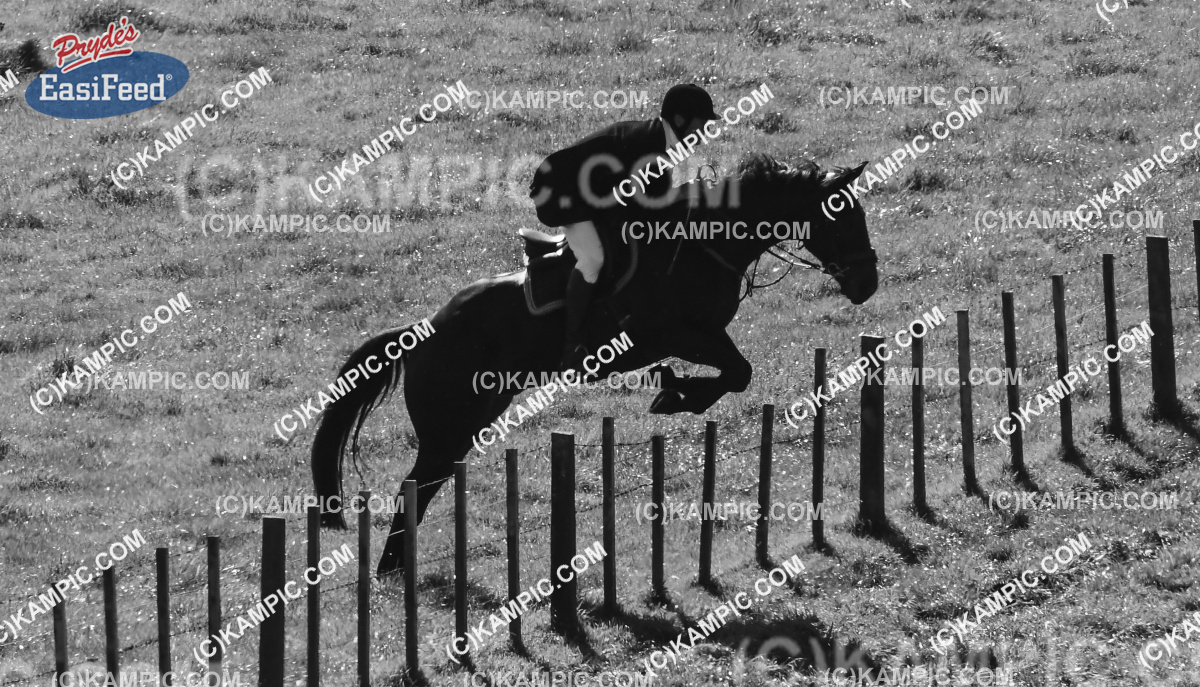 SL_170507_0421