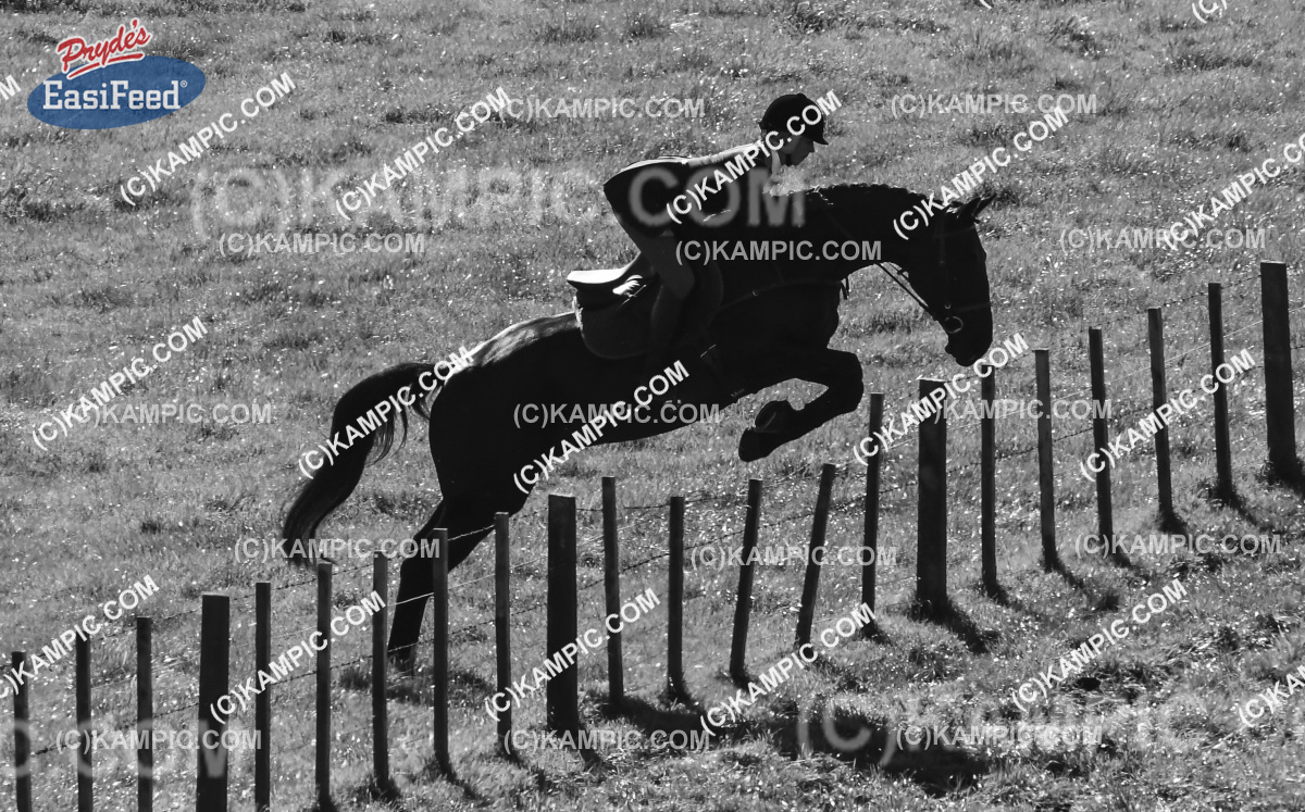 SL_170507_0428