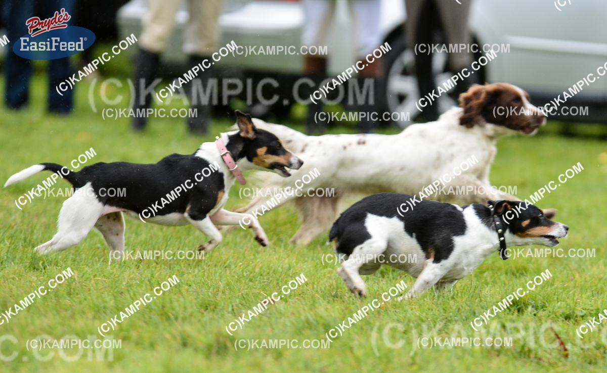 SL_170520_0503