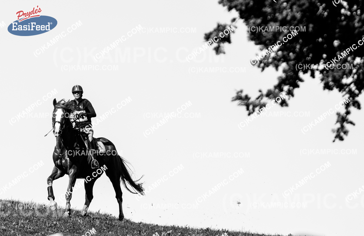 SL_170408_0258