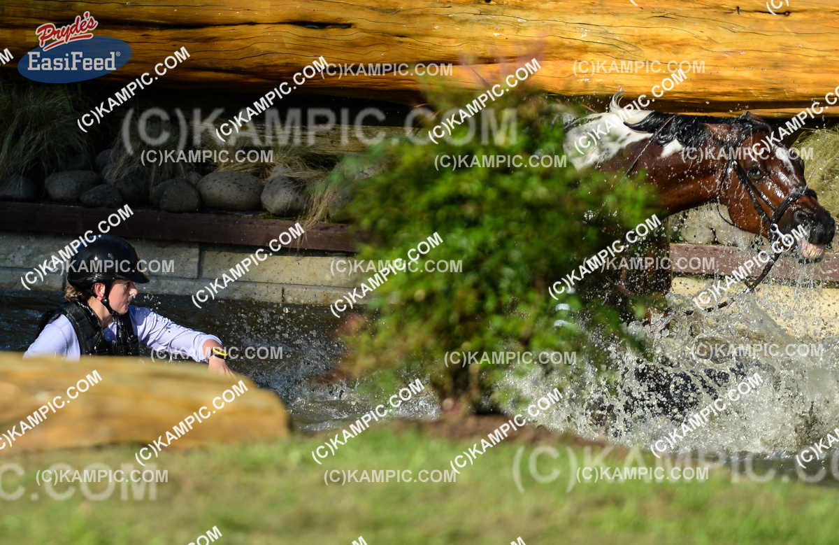 SL_170408_3101