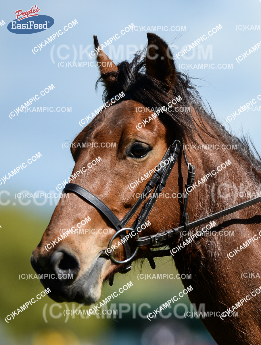 SL_170924_0710