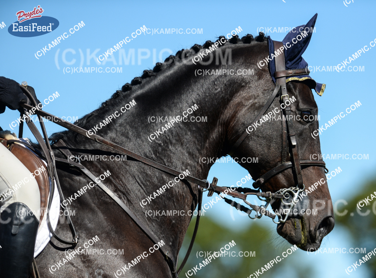 SL_170331_0873