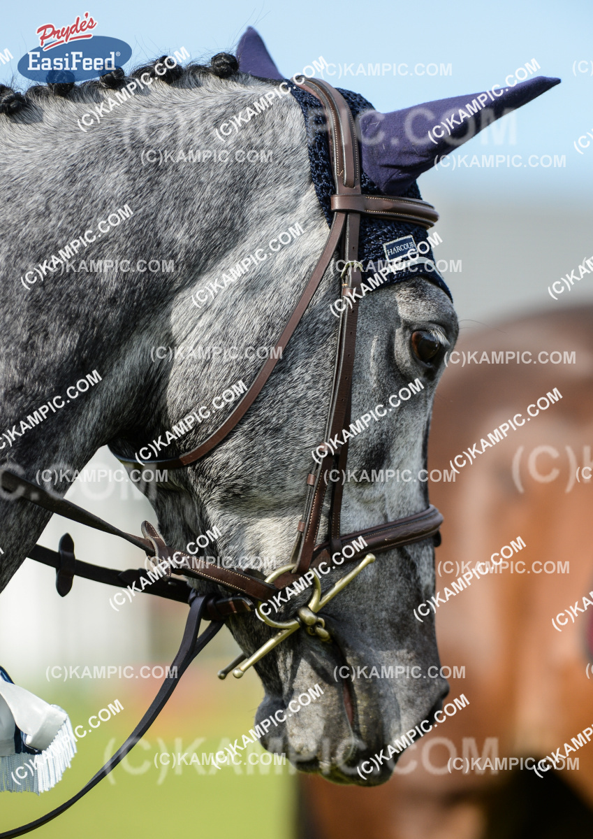 SL_170401_1185