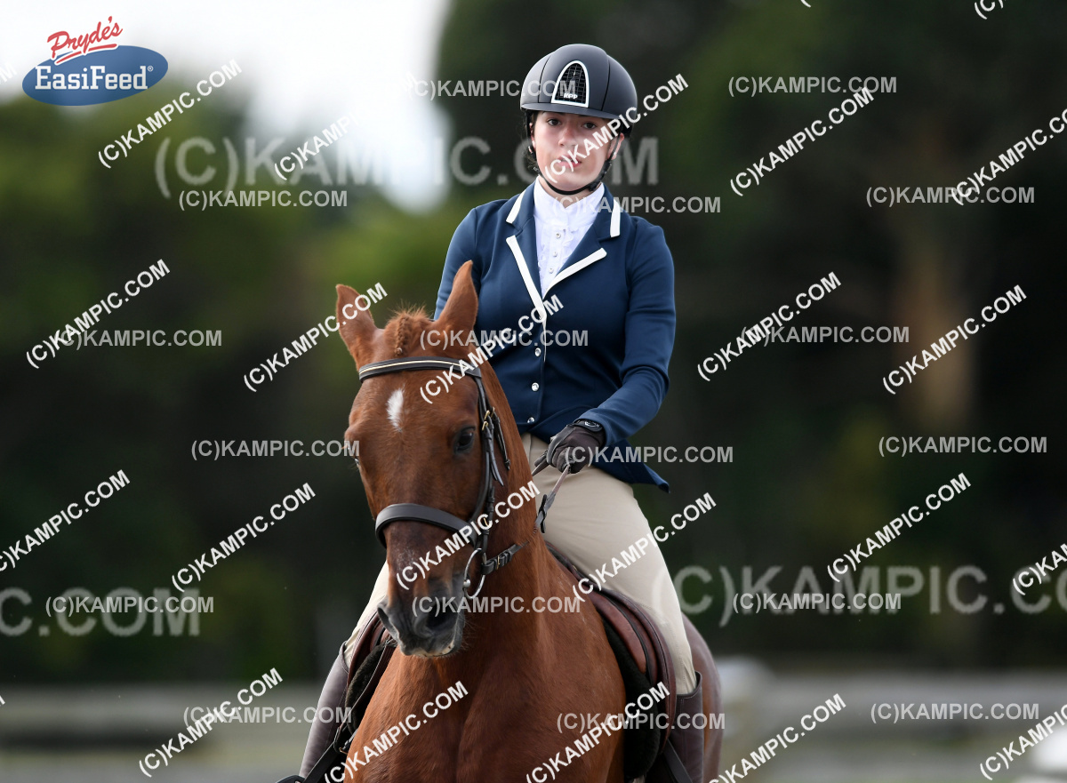 KM_170401_0868