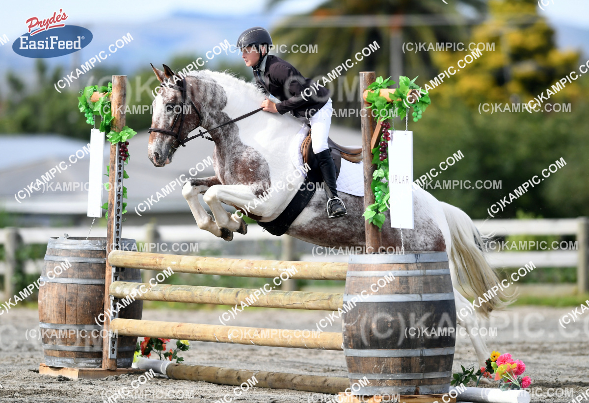 KM_170401_0907