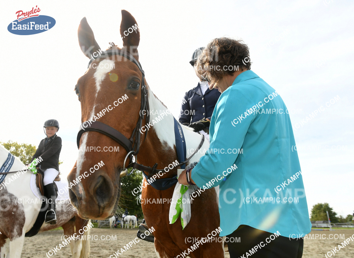 KM_170401_0978