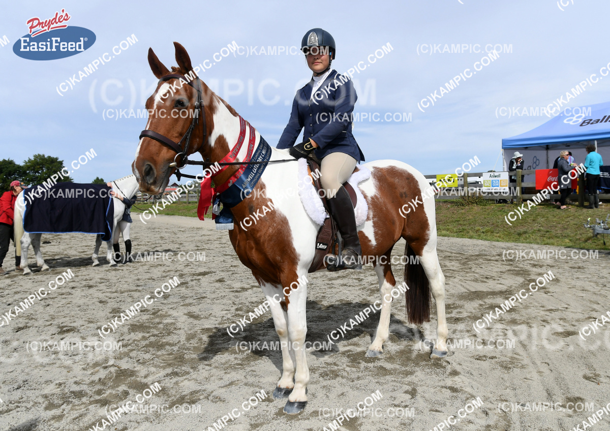 KM_170401_1009