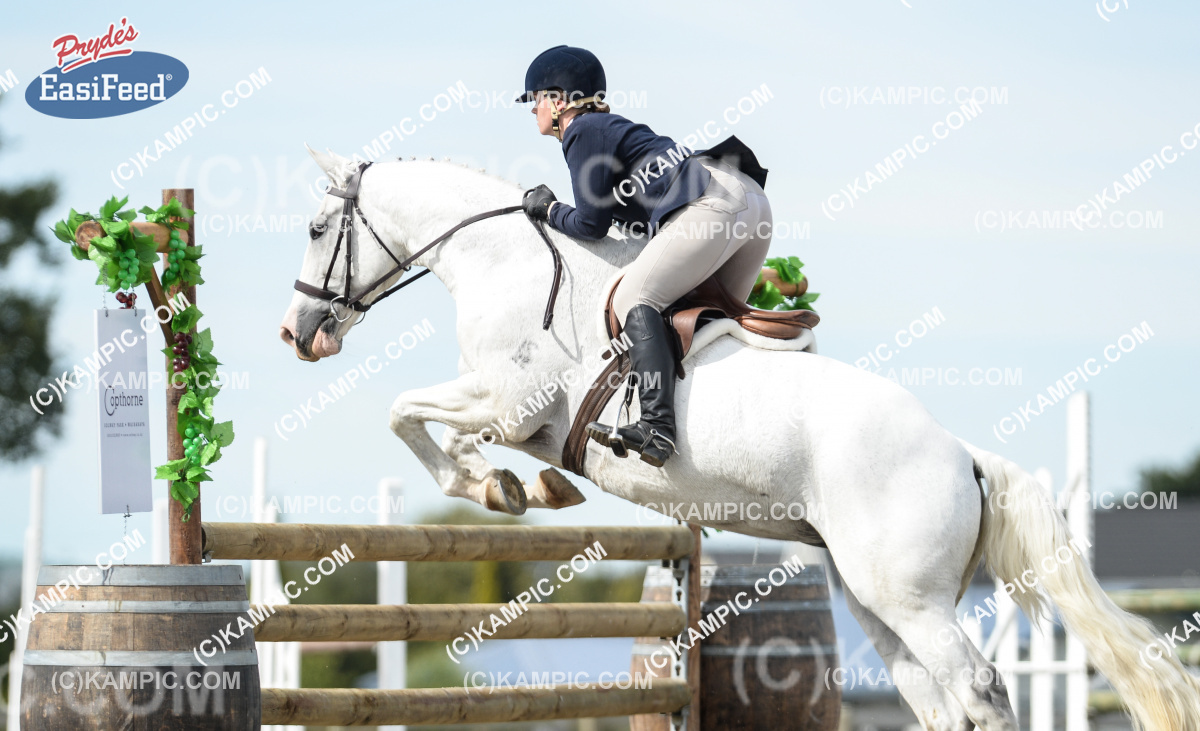 SL_170401_0478
