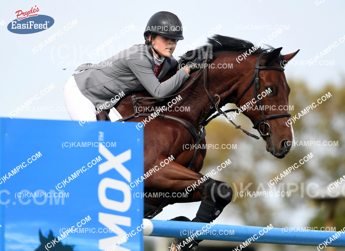 KM_170401_1278