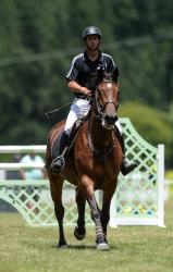 Teams Showjumping