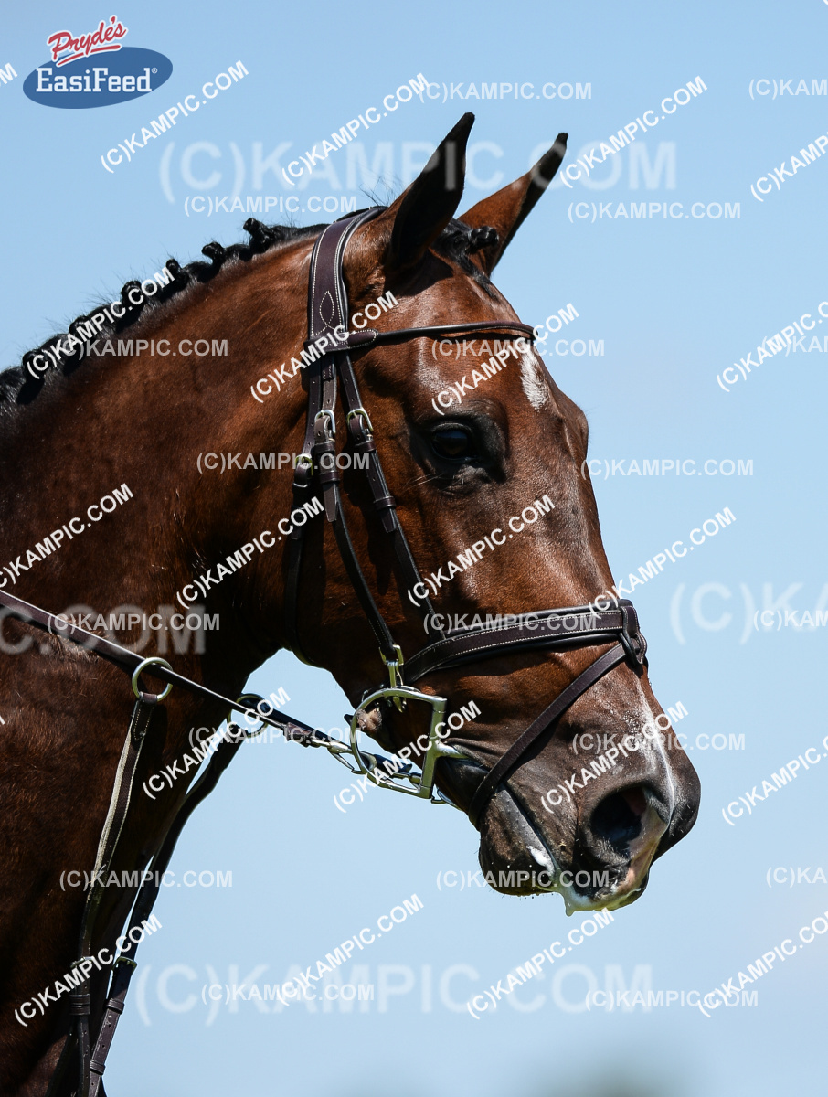 SL_171208_0506