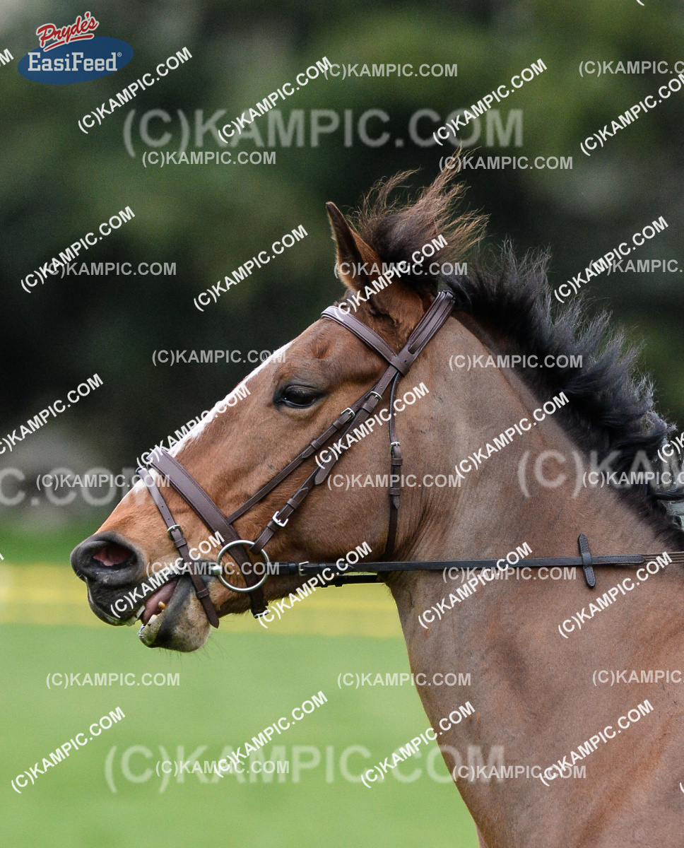 SL_180902_1910