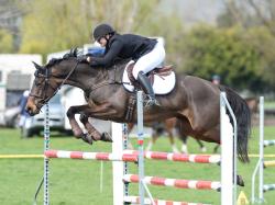 Open Horse 1.10m