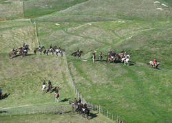The Field