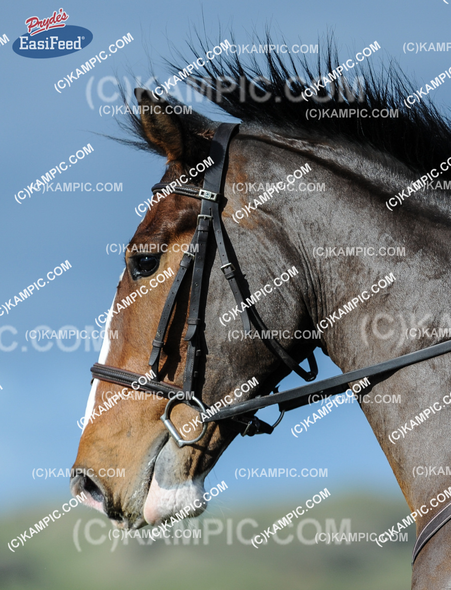 SL_180526_0334