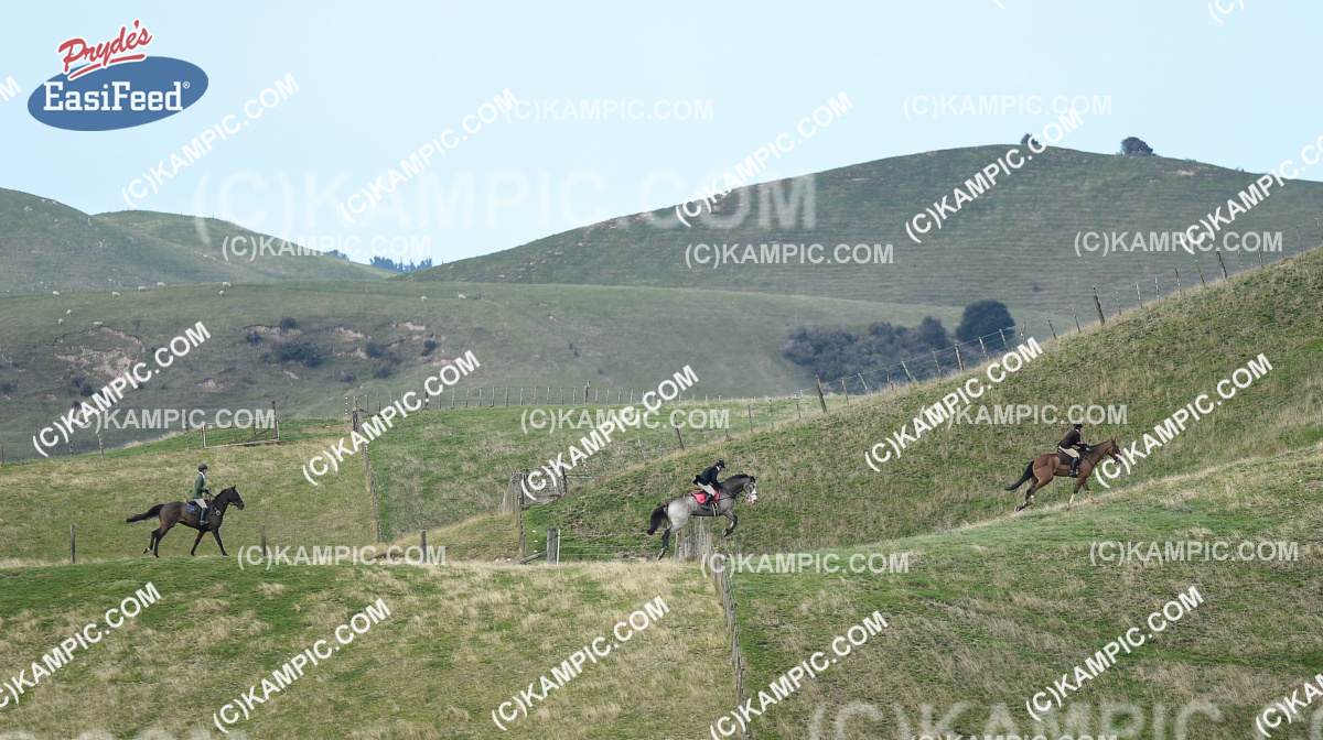 SL_180526_0642